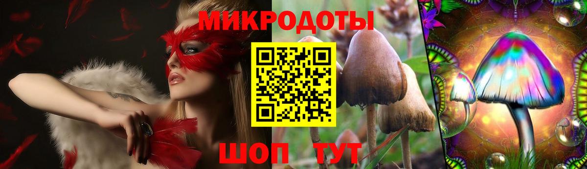 Псилоцибиновые грибы ЛСД Балахна